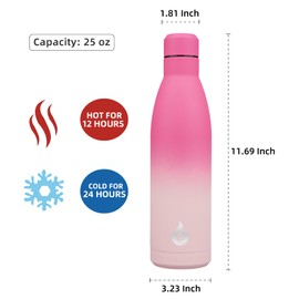 BJPKPK Insulated Water Bottle 25oz Stainless Steel Water Bottles Big Reusable Metal Thermos Water Bottle Keep Cold And Hot,Cherry