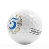 Frank Miura Golf Ball, Spin, Rotation, R&A Certified Ball, 2-Layer,