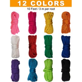 12 Pieces 10 Feet Paracord Cord 550 Multifunction Paracord Rope Colorful Paracord Bracelet Crafting Making Rope Kit for Lanyard Keychain Dog Collar Woven DIY Manual Braiding Supplies, 12 Solid Color