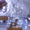 Brightown 12 Pack Led Fairy Lights Battery Operated String Lights