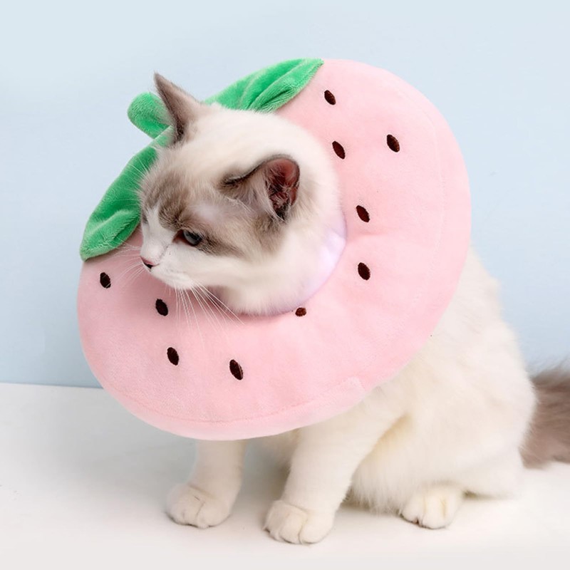 Amexo Cat Collar, Adjustable Cat Collar for Use in Cats
