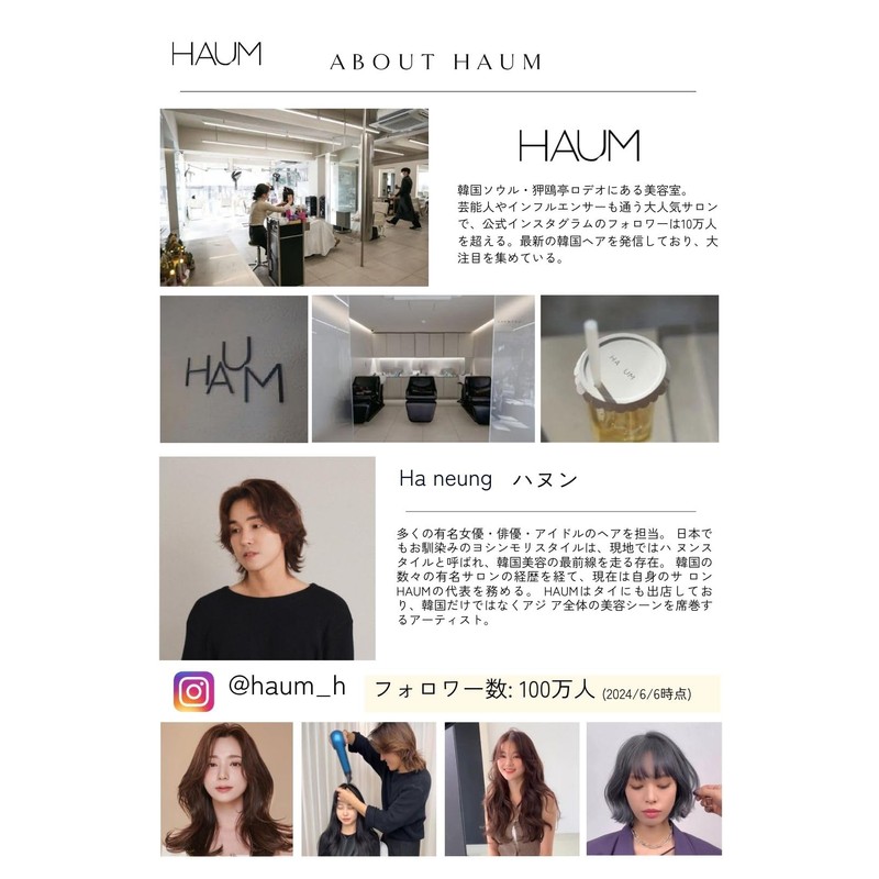 HAUM Roll Brush 3.5 (Pink) Roll Brus Pink Korean Fluffy