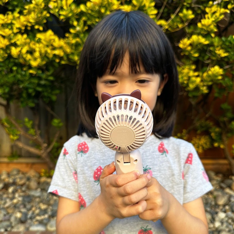 allydrew Mini Portable Handheld and Desktop Rechargeable USB Fan, Pink