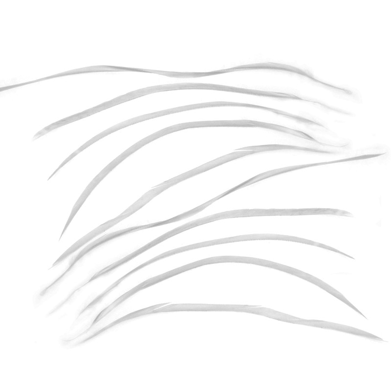 eMagTech 10PCS White Goose Biot Feathers 20-25cm For Millinery Crafts