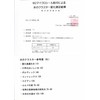 パソコン疲労、電磁波、ゲーム脳、ブルーライト（ 4枚入り）