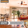 Sunlite A15 E17 LED Bulb, Intermediate Base Light Bulbs, 6