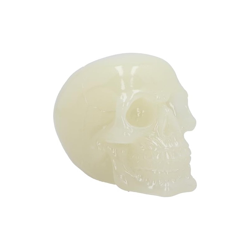 Nemesis Now Phosphorescent Glow in Dark Skull Figurine, Resin, Luminous