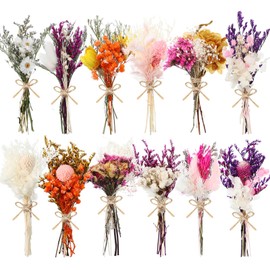 WGXX 10/12/24 Pack Dried Flowers for Vase Various Mini Bouquet Dried Small Wildflowers Natural Real Flowers Bulk for Crafts DIY Wedding Decor (12, Flowers Blooming1)