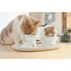 Necoichi Raised Cat Bowl Dining Tray (Bowl Set with Dining