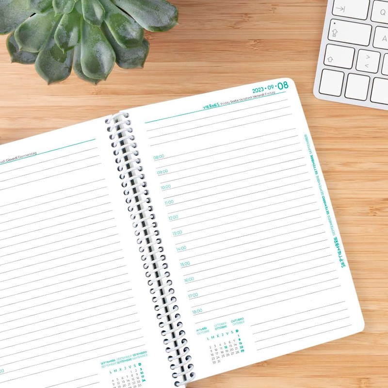 Casterli - 2023-24 School Planner BRILLI Collection Holographic Cover Day