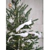 Feizeisun White Christmas Bird Decorations, 12pcs Artificial White Dove Birds