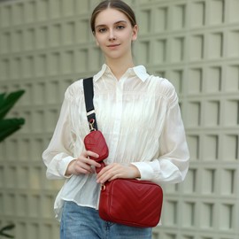 Herald Chevron Quilted Small Crossbody Bag with Coin Purse Pouch, Women Square Camera Side Shoulder 2 Size Handbags (Red)