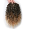 Afro-Pferdeschwanz-Extensions, amerikanisch, lockig, kurzes Haar, Afro-Pferdeschwanz, amerikanisch (30,5 cm, 1B/27#)
