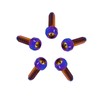 Rison Titanium Screw, M7 x 1 x 24.5 mm, M7