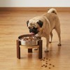 Feedoo Elevated Dog Bowl Stand, 6'' Height Raised Stand for