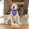 PTDECOR Dog Birthday Party Supplies, Birthday Boy Dog Bandana Golden