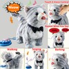 Marsjoy Gray Leash Walking Cat Set Interactive Talking Cat Singing