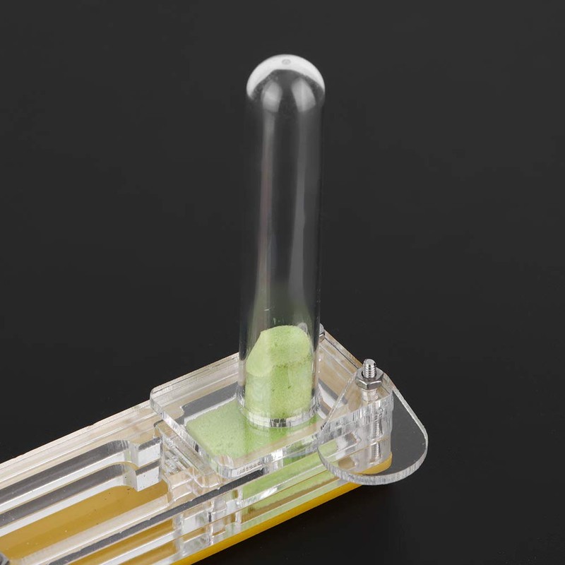 GOTOTOP Ant Farm, Ant Nest Transparent Acrylic Ant Nesting Box,