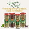 Del Monte Spanish Manzanilla Pitted Olives, 8 oz. Jar (Pack