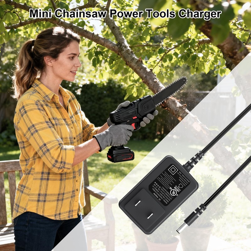 21V AC/DC Adapter Charger for Bomves, for Tingmengte, for FAMICCI
