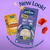 Lundberg Organic Thin Stackers, Salt-Free, 6oz, Gluten-Free, Vegan, Kosher, USDA