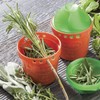 Hutzler Herb-Eze Stripper and Freezer Storage Container, Green/Orange