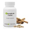 Ceylon-Zimt * Anastore * 250 mg/90 Kapseln * Konzentrierter Extrakt 4:1 * Energie + Antioxidantien *