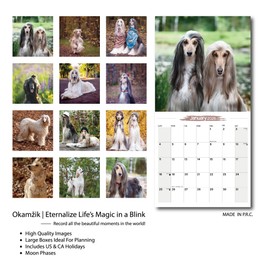 2026 Wall Calendar Afghan hound Planner Calendar, Hangable Monthly Wall Calendar with Large Blocks for Organizing & Planning, Academic Schedule, Home, Office & family, Thick & Sturdy Paper (12"x24" Open)