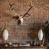 ZENFUN 12 Packs Mount Skull Hanger, Deer Skull Hanger, Pronghorn