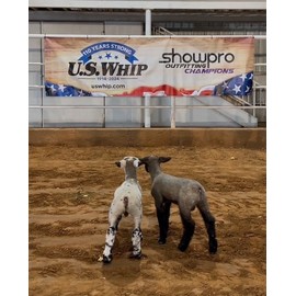 Show Pro Blue Spandex Goat Tube for Show Goats - Made in America. Show Livestock Supplies: Goat Covers & Blankets. (Large)