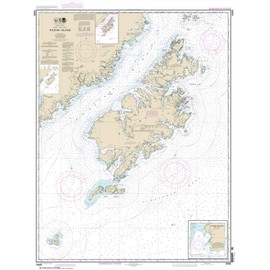 NOAA Chart 16580: Kodiak Island; Southwest Anchorage: Chirikof Island 21.00 x 27.94 (Small Format Waterproof)