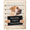 Boerboel Dog Mugshot Bad Dog Car Bumper Magnet, Magnetic for