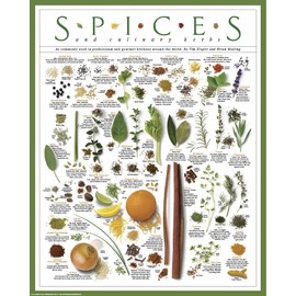 Spices and Culinary Herbs Chiles Curry Garam Masala Parsley Sage Rosemary Thyme Ginger Pickling Garlic Cumin Paprika Cayenne Basil Cilantro Herbs de Provence Print Poster (16X20 2 Print Set)