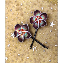 Set of Two Pretty Large Flower Bobby Pins with Colorful Hand Painted Accents Spring Summer Casual Dressy Bohemian Hair Fashion Accessories for Women Teen Girls