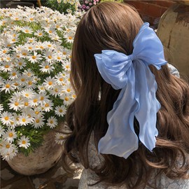 Oversized Bow Hair Clip, Bowknot Hair Pins, Sweet Hair Barrettes, Hair Accessories for Women Girls, Blue, Champagne, 2PC