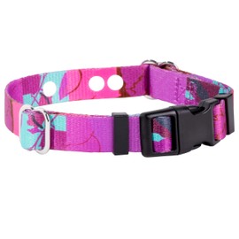 ECollar Replacement Strap - Compatible with Major Brands Including Petsafe, Invisible Fence Shock Collar Replacement Collar, Invisible Fence Compatible Collar (Bloom, Small)