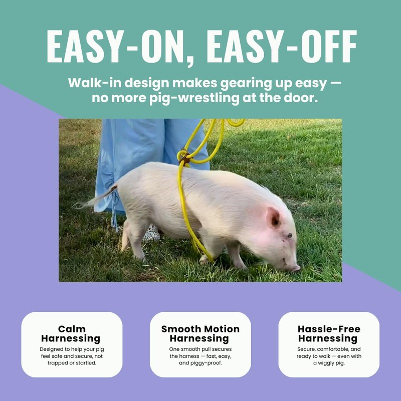 PORCINE® Mini Pig Harness & Leash (S/M) - Fully Adjustable,