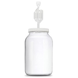Glass Gallon Jar with Grommet Lid and S-Shaped Airlock