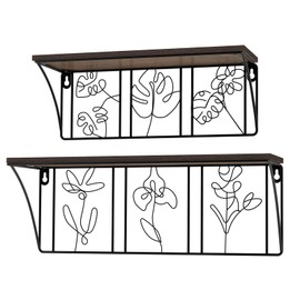QUTREY Plant Wall Art Floating Shelves Set of 2, Minimalist Metal Abstract Decor Rustic Wooden Shelf for Living Room, Bedroom, Bathroom
