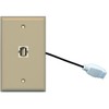 RiteAV (1 Gang Flat USB Wall Plate w/Female Pigtail Extension