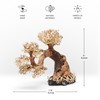 Ultum Nature Systems Bonsai - Handcrafted Hardscape Driftwood for Aquarium,