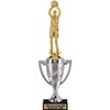 Crown Awards Basketball Trophy, 14.15" Silver Cup Female Basketball Trophies