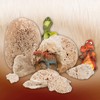 Science4you - Starter Kit di Uova di Dinosauro - Kit