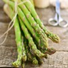 Jersey-Knight 5 Live Asparagus Bare Root Plants -2yr-Crowns from Hand