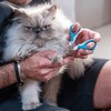 Mr. Pen- Cat Nail Clipper, Pet Nail Trimmers, Kitten Claw