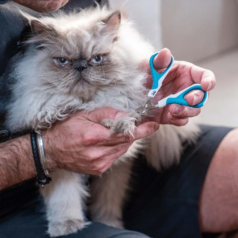 Mr. Pen- Cat Nail Clipper, Pet Nail Trimmers, Kitten Claw