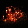 Dreamworth Solar Red Chili String Lights, 50 LED Chili Shape