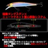 DUEL Hardcore Latour Flat 110mm – Slow Floating Bass Lure