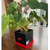 Antho3D Shoebox-Style Planter Pot (Black, White and Red) Indoor Outdoor