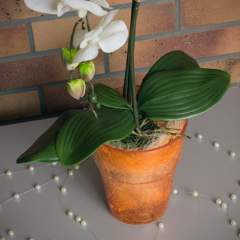 Flower Pot Round Orchid Pot Orchid Diameter 130 mm Height